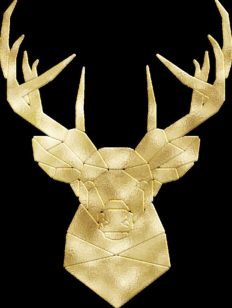 deer, antlers, moose